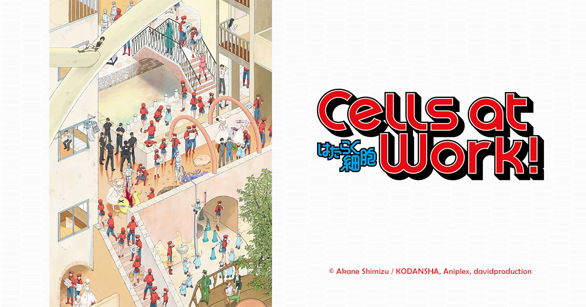 Cells at Work! revela elenco