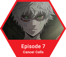 Muse Asia - Cells at Work!! - Special Screening Edition ⛏️ Character  Feature Our fan favourite - Red Blood Cell! Voiced by Kana Hanazawa, Red  Blood Cell is a character from Season