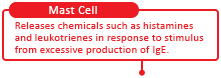 Mast Cell