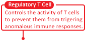 制御性T細胞