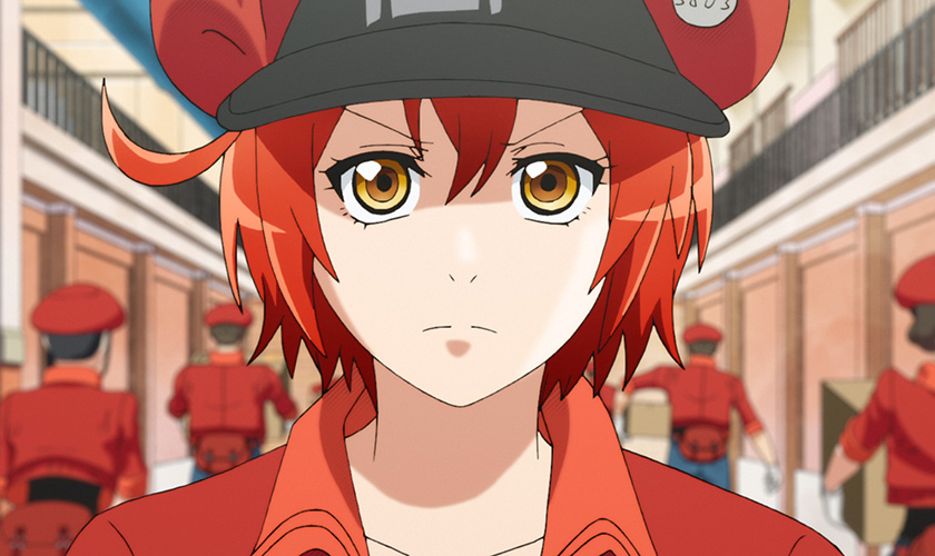 Cells at Work! Red Blood Cell