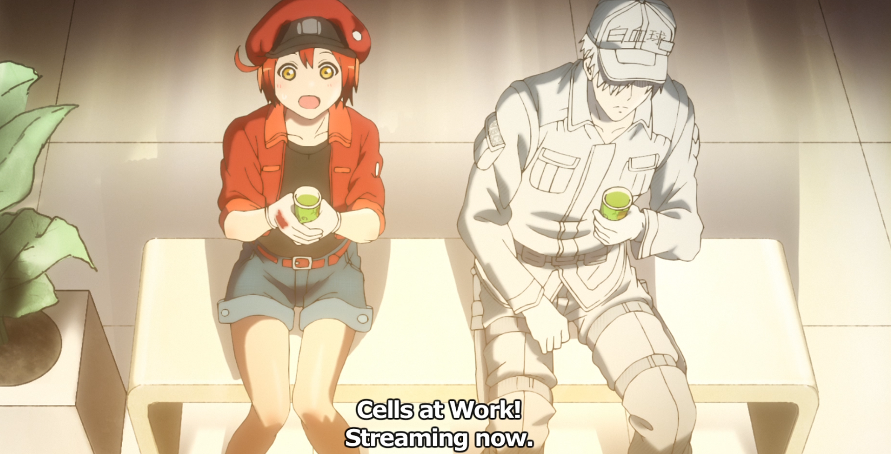 Cells at Work! Review • Anime UK News