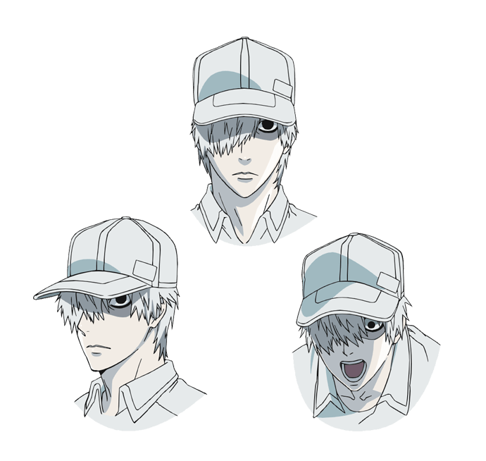 Cells at Work! WHITE, Cells at Work! Wiki