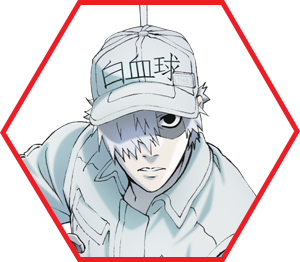 Season 2 release date confirmed, Hataraku Saibou / Cells at Work!