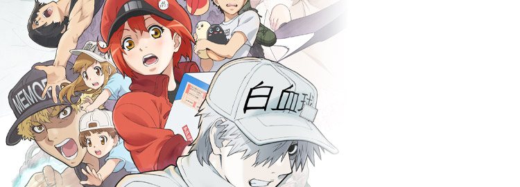 Season 2 release date confirmed, Hataraku Saibou / Cells at Work!