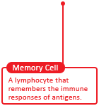 Memory Cell