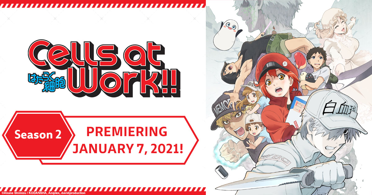 Cells at Work!: animê chega ao catálogo da Netflix